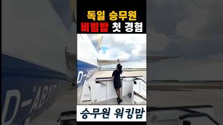 ❌✈️독일 승무원에게 비빔밥 먹는 법 알려주는 한국 승무원