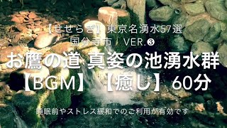 【せせらぎ】東京名湧水57選 国分寺市 真姿の池湧水群【BGM】【癒し】60分　ヨガ・睡眠前・ストレス緩和・瞑想にお勧め murmuring/waterspring /Kokubunji-city