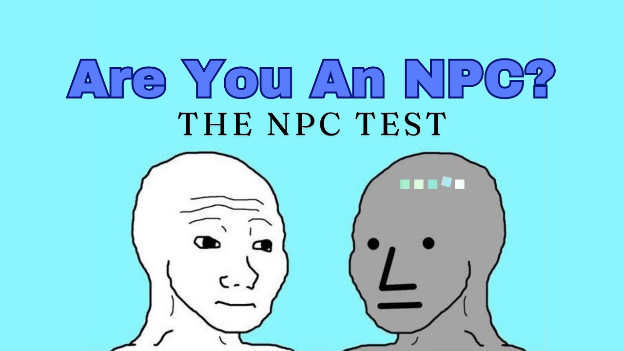Are You An Npc Take The Npc Test Now Youtube