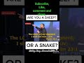 SHEEP OR SNAKE