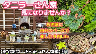 【多肉植物・お宅訪問】雨ざらしお庭！で上手に楽しむ🎶雑貨も素敵です✨