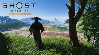 Ghost of Tsushima - Late Night Vibes