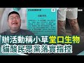 是自我吐槽還是貶低支持者？民眾黨舉辦路跑活動竟稱小草是「堂口生物」 網紅四叉貓狠酸根本是落實指控｜三立新聞網 SETN.com