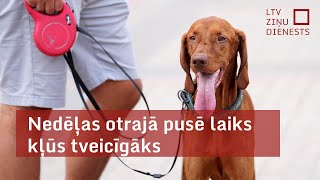 Nedēļas otrajā pusē laiks kļūs tveicīgāks; bieži gaidāmi lokāli negaisi