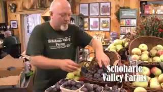 SCT MPP 2015 - Schoharie Valley Farms