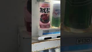 創業60年以上の老舗あんこ屋特製冷やしおしるこ　越前町に来たら探してみようレトロ商品！！　#福井県 #越前町 #えちぜん #レトロ