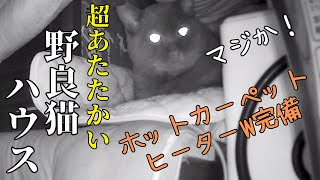 【住み着いた野良猫】寒い冬も安心の「超VIPな寝床」を用意しました