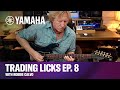 Trading Licks Episode 8 | Guitar Lesson | Melodic Contours