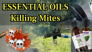 How to Treat Honeybees for Mites the Natural Way with Essential Oils!