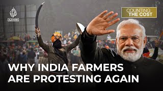 How will Modi's economic policies impact Indian farmers?  | Counting the Cost