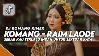 Download Lagu Dj Sebab Kau Terlalu Indah Jedag Jedug Komang Raim... MP3 Gratis