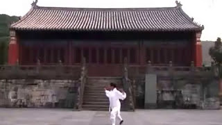 Wudang 5 Animals Qigong by Master Li Yuan Fei of Traditional Daoist Gongfu Academy