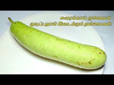 What is Lauki called in Tamil?