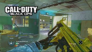 Black Ops 1 2023 #102 FLAWLESS MP5K Game! (COD BO1)