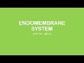 AP Biology: The Endomembrane System