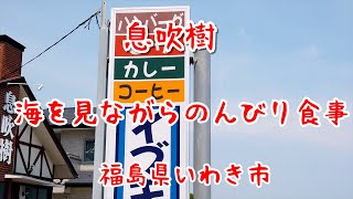 いわき市久ノ浜町イブキ【息吹樹】