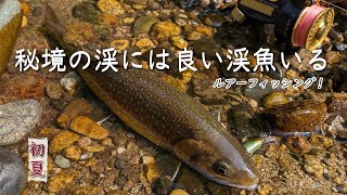 秘境の渓魚のポテイシャル【銀山平釣行Vol.29】