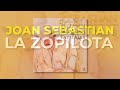 joan sebastian la zopilota audio oficial