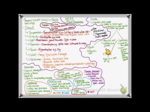 OCR A LEVEL BIOLOGY - UNIT 5.5 (PART 1) | PLANT RESPONSES - YouTube