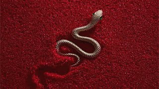 Zach Diamond - PYTHONS (LYRIC VIDEO)