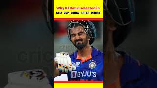 Why Kl Rahul selected in Asia Cup squad after injury 🤕 #shorts #shortvideo