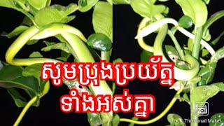 សូមប្រុងប្រយ័ត្នទាំងអស់គ្នា please be careful