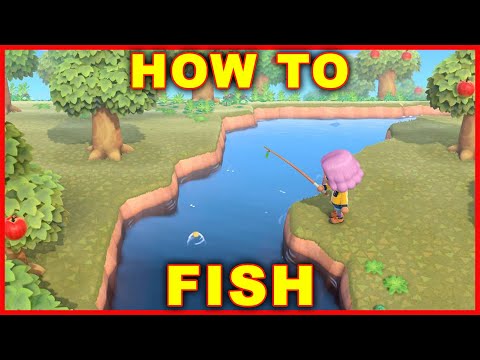 How many fish can you catch with a fishing rod Animal Crossing?
