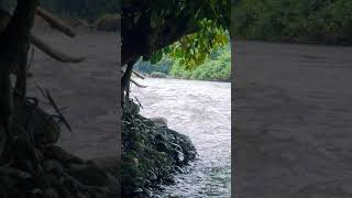 Payaswini River - Sampaje