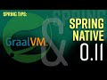 Spring Tips: Spring Native 0.11!