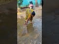 சாணம் தெளித்து கோலம் போடுவது shorts kandhikuppam tamilstatusnew villagelife