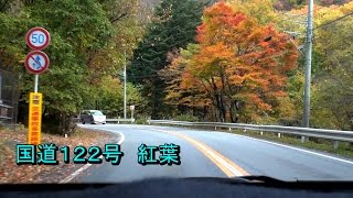 国道122号 紅葉街道 車載動画 倍速編集