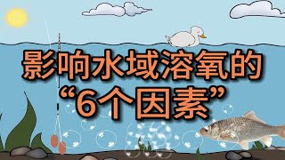 水域溶氧决定鱼情，了解影响溶氧的6个因素，鱼情好坏一目了然