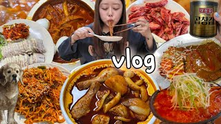 [먹방vlog] 엽닭에 엽떡에 엽닭죽까지 엽기삼파전 아! 우동사라도 추가🔥 (엽기닭볶음탕,엽기떡볶이,엽닭죽,보쌈,돈까스,해물찜,미역국,피자,갈비살,국물닭발,김밥,붕어빵,시래기지짐)