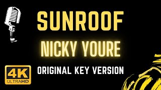 Sunroof - Nicky Youre ( Karaoke Songs With Lyrics in Original Key Karaoke Version )