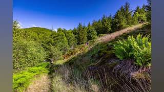 Ystrad Einion Mine   24–25 Jun 2023