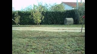 Homemade Jackass - Dizzy Boxing [HD]