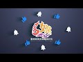 📣 穀保多媒體設計科 課程show 動態廣告設計📣