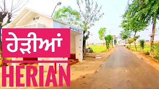 ਪਿੰਡ ਹੇੜੀਆਂ। village Herian || @SukhHerian1