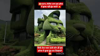 यहां एक बिल्ली नजर आ रही है आप कुता दिखाएं 🦮 😻#funny #viral #cat #dog #youtuber #youtubeshort