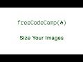 Basic CSS: Size Your Images | freeCodeCamp