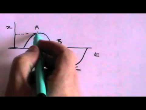 Simple Harmonic Motion Veryfly