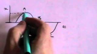 Simple Harmonic Motion