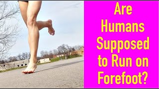 Are Humans Supposed to Run on the Forefoot?