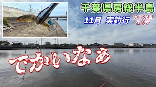 【釣行】房総半島 落ちハゼ 11月 実釣 千葉 釣り