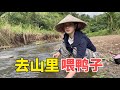 鸭子买来一段时间了，和媳妇去山里看看长大了没有