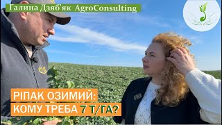 Ярослав Бай: як перезимував ріпак, рістрегуляція та фунгіцидний захист, перше весняне внесення