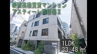 アスティーレ西新宿Ⅱ 1LDKタイプ