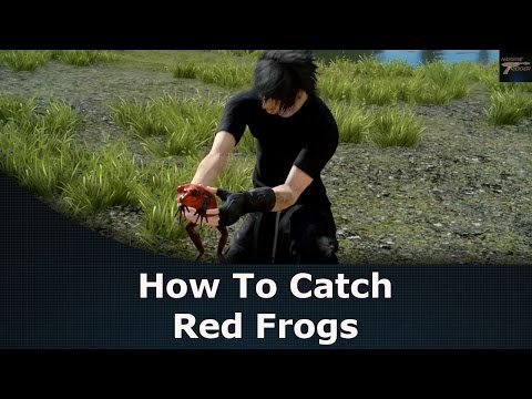 Final Fantasy XV How To Catch Red Frogs The Professors Protege Quest Final Fantasy XV How To Catch Red Frogs The Professors Protege Quest