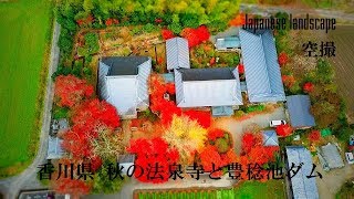 ドローン 空撮 秋の法泉寺と豊稔池ダム