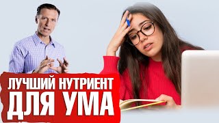 Как улучшить работу мозга? Лучший нутриент для мозга🧠